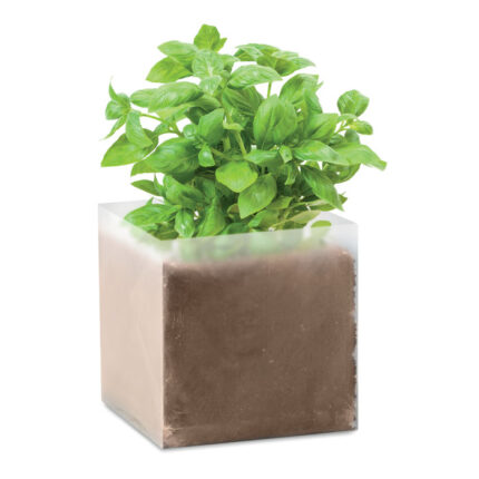 Compost with basil seeds